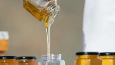 من الجبال إلى الأودية.. كيف تدعم بيئة العُلا إنتاج العسل المحلي؟