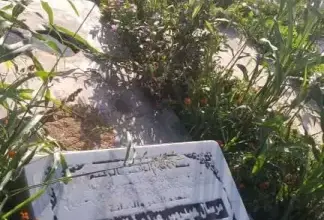 والدة مرسال عيدروس تستصرخ العدالة وتطالب بإنصاف ابنها
