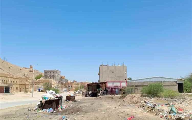 وحدة النظافة والتحسين بمديرية القطن تنفذ حملة نظافة واسعة في عدد من المواقع بالمديرية