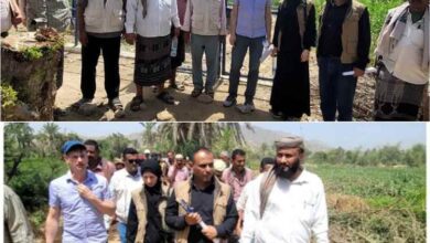 وفد أجنبي يتفقد مشاريع زراعية في طور الباحة بلحج