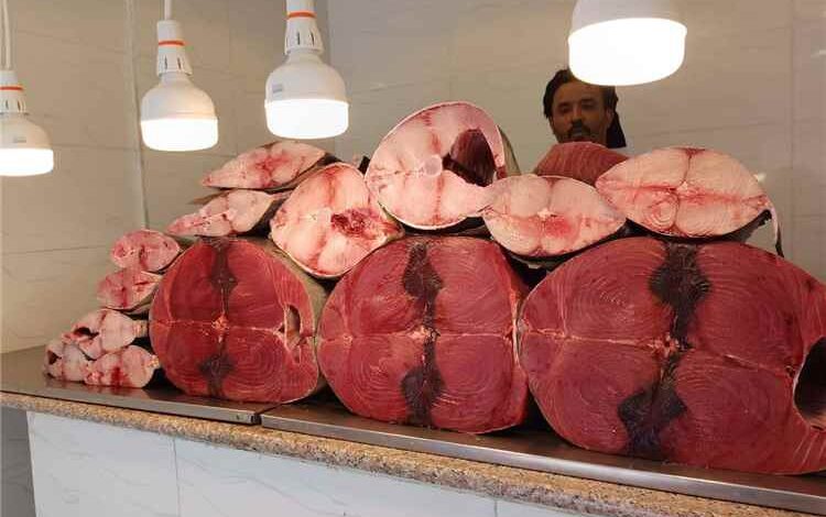 أسعار الأسماك تواصل الارتفاع في محافظة عدن.. وكيلو الثمد (التونة) يصل إلى 12 ألف ريال