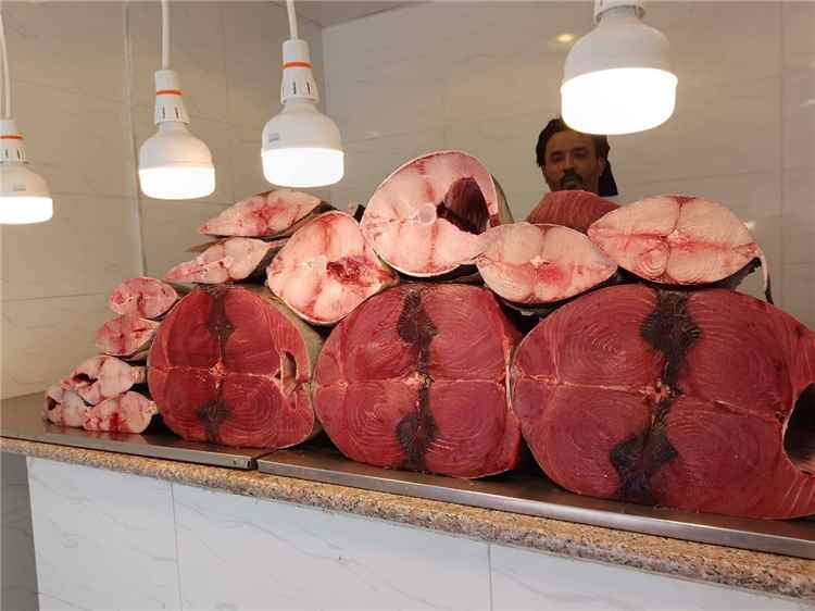 أسعار الأسماك تواصل الارتفاع في محافظة عدن.. وكيلو الثمد (التونة) يصل إلى 12 ألف ريال