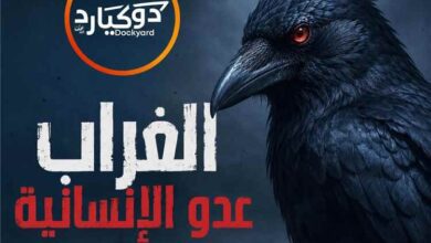اتساع حملة شعبية لمكافحة الغربان في عدن ومطالبات بمشاركة صندوق النظافة