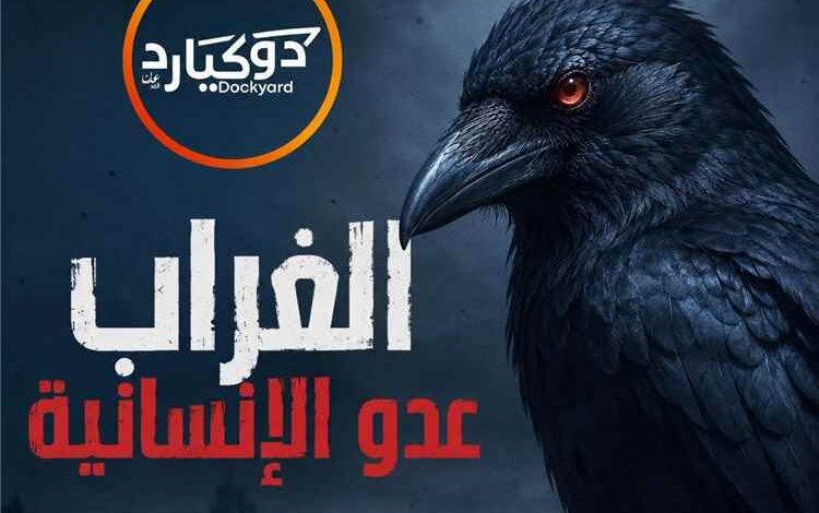 اتساع حملة شعبية لمكافحة الغربان في عدن ومطالبات بمشاركة صندوق النظافة