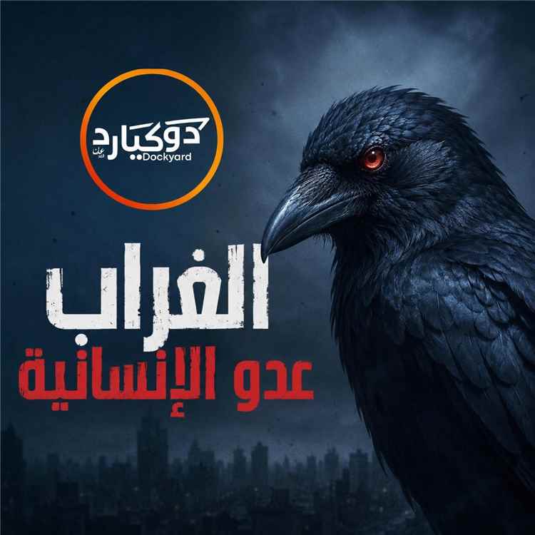 اتساع حملة شعبية لمكافحة الغربان في عدن ومطالبات بمشاركة صندوق النظافة