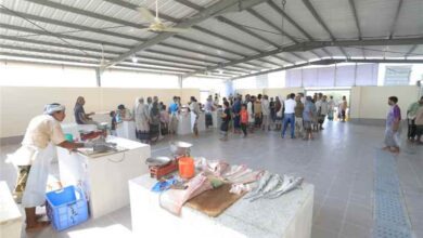 افتتاح مشروع إعادة تأهيل سوق الأسماك بمديرية رضوم بتمويل من مركز الملك سلمان للإغاثة