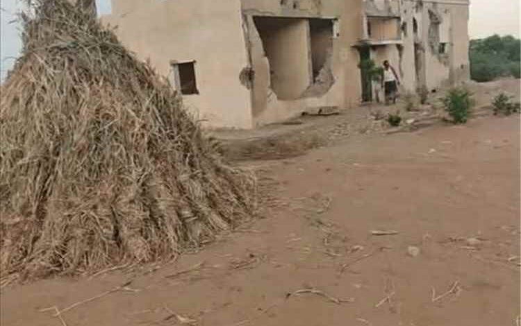 الحوثيون ينهبون محتويات منزل الرئيس الراحل عبدالله السلال في الحديدة