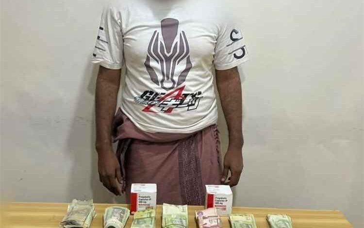 القبض على أحد أخطر مروجي الحشيش وحبوب "بريجبالين" في عدن