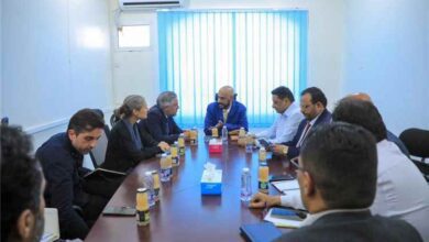 المدير التنفيذي لشركة صافر يبحث مع بعثة الاتحاد الأوروبي تعزيز الشراكة ودعم تطوير قطاع الطاقة