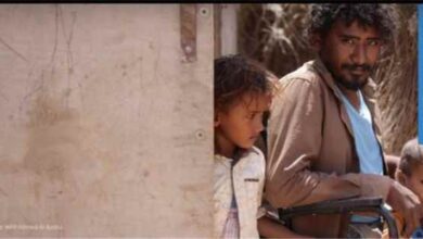 برنامج الغذاء العالمي: أكثر من 739 ألف يمني تلقوا مساعدات إنسانية خلال مايو