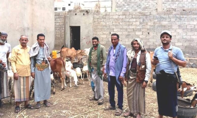 جماعة الحوثي تفرض رسومًا جديدة على مربي المواشي وأصحاب الحظائر في ريمة وإب