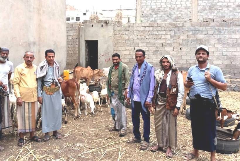 جماعة الحوثي تفرض رسومًا جديدة على مربي المواشي وأصحاب الحظائر في ريمة وإب