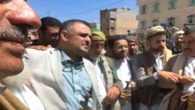 حكم قبلي يثير الجدل في صنعاء.. 250 ثوراً و18 مليون ريال وإغلاق فيسبوك تعويضاً لطبيب فلسطيني