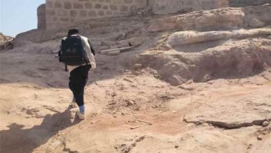 شبوة.. الباحثات الميدانيات يواصلن تنفيذ الجولة الثانية من مسح ميزانية الأسرة 2026 بمديرية حبان