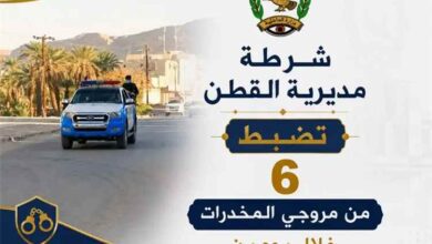 شرطة مديرية القطن تضبط 6 من مروجي المخدرات خلال يومين