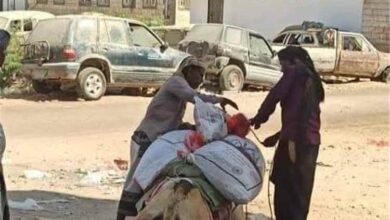 شلل في حركة النقل بميفعة جراء انعدام البترول لليوم الخامس وسط مطالبات بحلول عاجلة