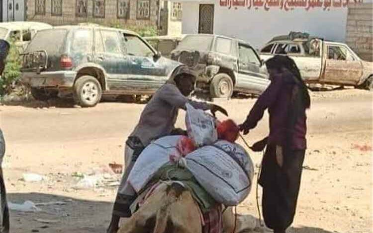 شلل في حركة النقل بميفعة جراء انعدام البترول لليوم الخامس وسط مطالبات بحلول عاجلة