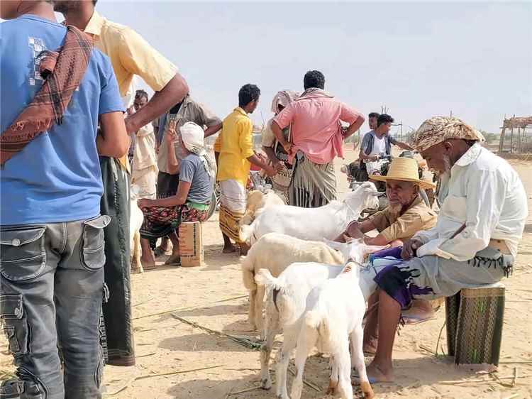 شمال تهامة.. كارثة إنسانية تتفاقم بين حصار الحوثيين وغياب مؤسسات الدولة