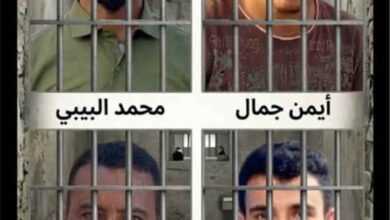 قائد اللواء الخامس مشاة يهنئ المفرج عنهم ويشيد بجهود الوسطاء والقادة في إنجاز عملية الإفراج