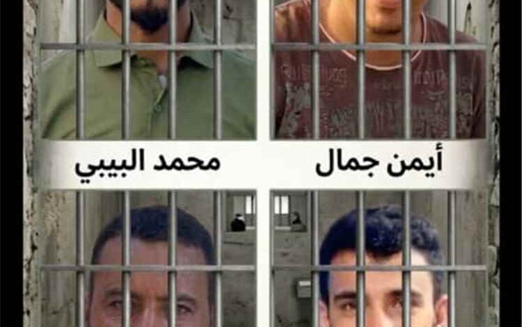 قائد اللواء الخامس مشاة يهنئ المفرج عنهم ويشيد بجهود الوسطاء والقادة في إنجاز عملية الإفراج