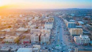 مقتل مواطن في موكب زفاف بشبوة