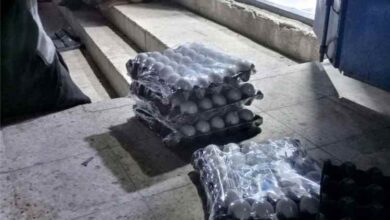 هبوط ملحوظ في أسعار البيض بعدن.. والأهالي يشكرون مروجي نظام «الطيبات»