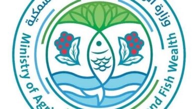 وزارة الزراعة تناقش مع منظمة صناع النهضة المشاريع المشتركة لتحسين الأمن الغذائي والمائي