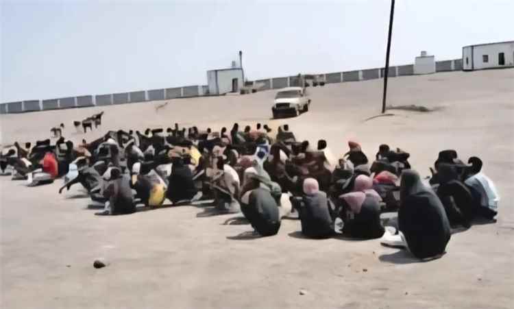 وصول 200 مهاجر غير شرعي إلى سواحل شبوة