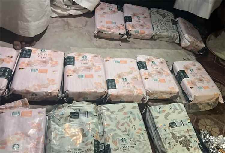 قوات درع الوطن في المهرة تضبط نحو 25 كيلوغرامًا من مادة الشبو