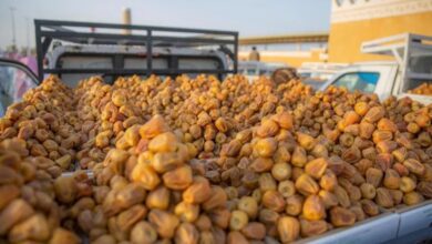 3.2 مليار ريال عوائد سنوية.. كرنفال بريدة يعزز ريادة المملكة في تجارة التمور