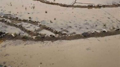 أمطار مباركة تهطل على عدد من مناطق يافع