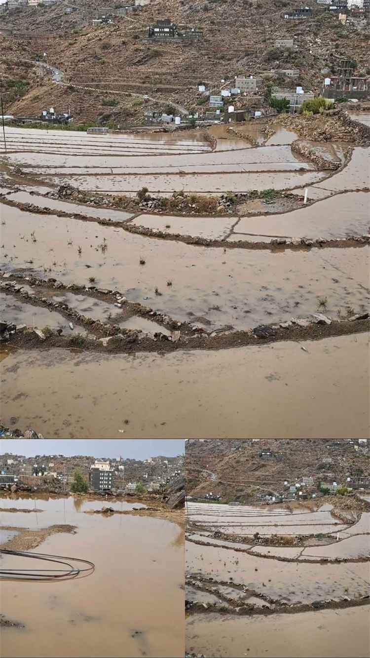 أمطار مباركة تهطل على عدد من مناطق يافع