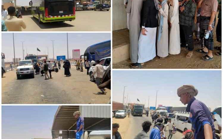 ارتفاع إيرادات جمرك الوديعة 25% خلال النصف الأول من 2026.. ومطالب بتشغيل المنفذ الجديد لتخفيف الازدحام