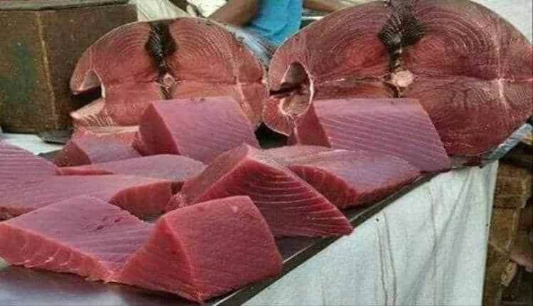 ارتفاع اسعار الاسماك في سوق مودية يفاقم معاناة المواطن