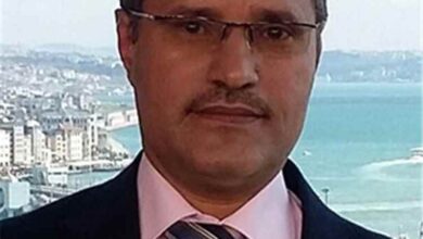 التميمي: الضربات السعودية استهدفت مفاصل النشاط العسكري للحوثيين باحترافية عالية