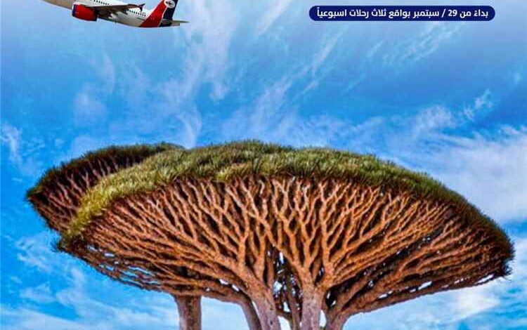 الخطوط الجوية اليمنية تعلن استئناف رحلات جدة – سقطرى – جدة بواقع ثلاث رحلات أسبوعيا