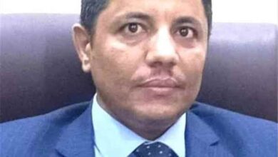 الريمي: غياب القرار الوطني حوّل اليمن إلى ساحة مفتوحة للعبث