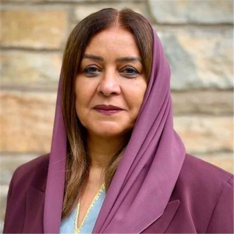 السفيرة جميلة رجاء: الحـ.ـوثيون اختطفوا اليمن لخدمة الأجندة الإيـ.ـرانية وكبّدوا البلاد خسائر بـ6 مليارات دولار