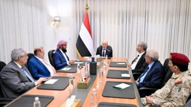 العليمي: لن نسمح لأي طائرة إيرانية بدخول اليمن من اليوم..