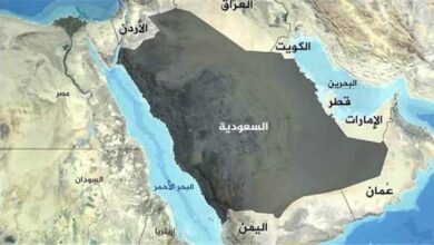 النواصري: تحويل الممرات البحرية إلى ساحة صراع يفرض كلفة يدفعها اليمن قبل غيره