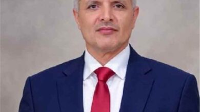 اليافعي: مشروع الحوثي إلى زوال ولا سلام دون استعادة الدولة