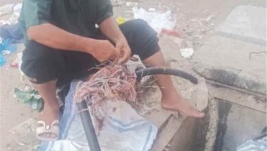بتوجيهات الوزير باصرة.. الاتصالات تعيد خدمة الهاتف للمنصورة بعد حريق الكابينة