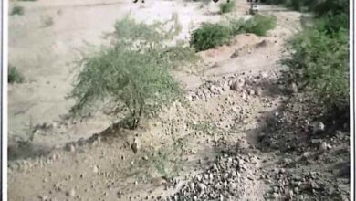 بتوجيهات محافظ شبوة.. المهندس الدعم يزور حبان لإجراء دارسة فنية للمخزون المائي في المديرية