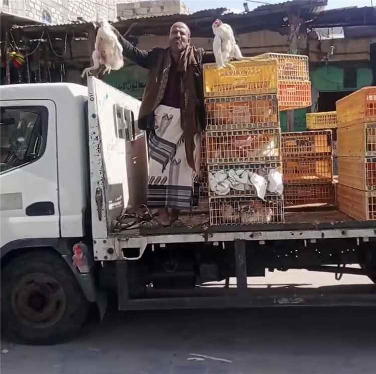 تجار الدجاج يناشدون المستهلكين :“ الدجاجة بنصف سعرها والطبق بربع سعره