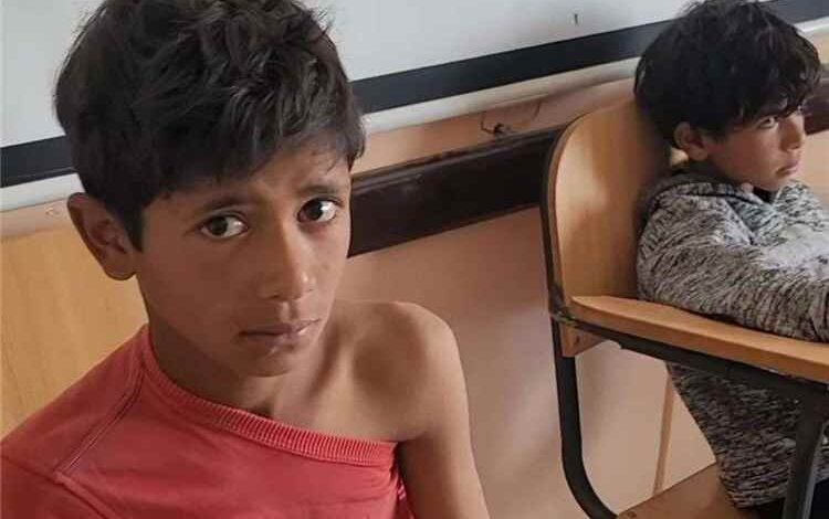 تعز .. تسجيل أربع إصابات جديدة بعضات كلاب بعد وفاة طفل