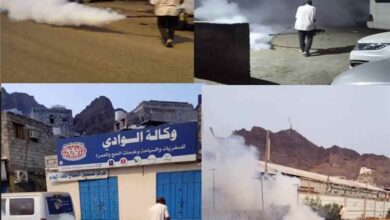 تنفيذ حملة رش ضبابي لمكافحة الحشرات الناقلة للأمراض في منطقة القلوعة