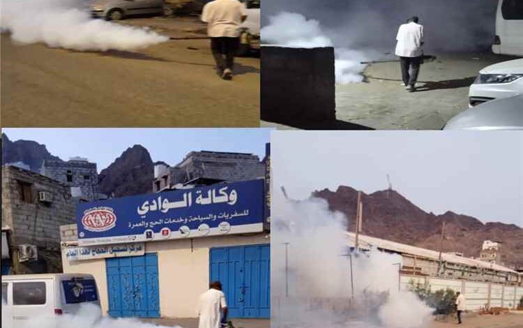 تنفيذ حملة رش ضبابي لمكافحة الحشرات الناقلة للأمراض في منطقة القلوعة