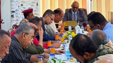حضرموت: إقرار إجراءات مشددة لحماية الثروة السمكية وتنظيم الصيد التقليدي