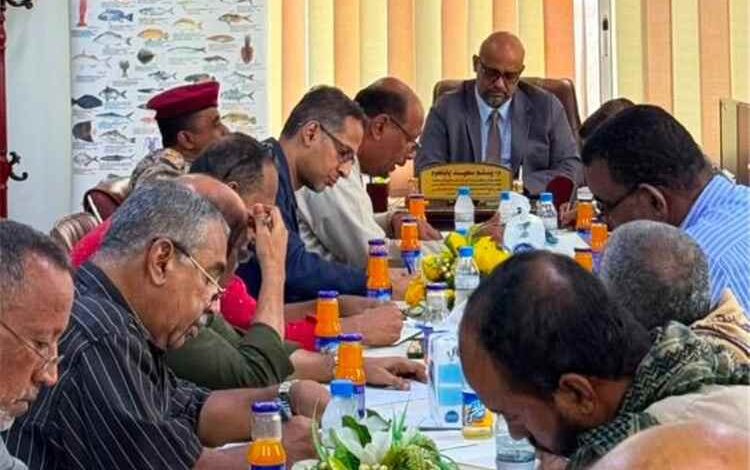 حضرموت: إقرار إجراءات مشددة لحماية الثروة السمكية وتنظيم الصيد التقليدي