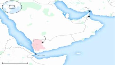 المشهد اليمني - دولة عربية تُعلن الحرب على "ضريبة الحوثي".. وتحذّر: لن نسمح بابتزاز باب المندب